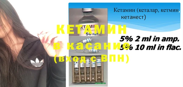 хмурый Абаза