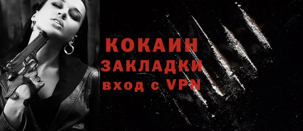 хмурый Абаза