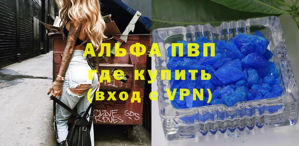 хмурый Абаза