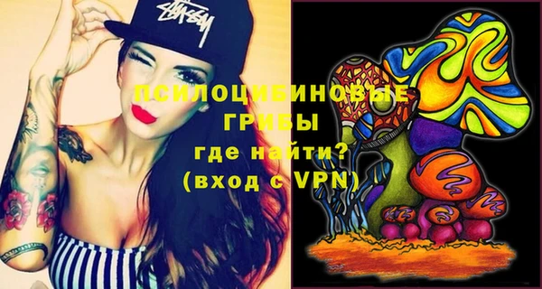 хмурый Абинск