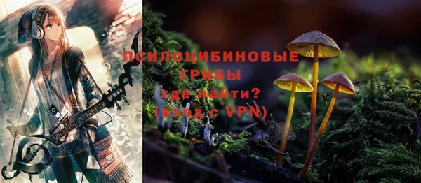 хмурый Абаза